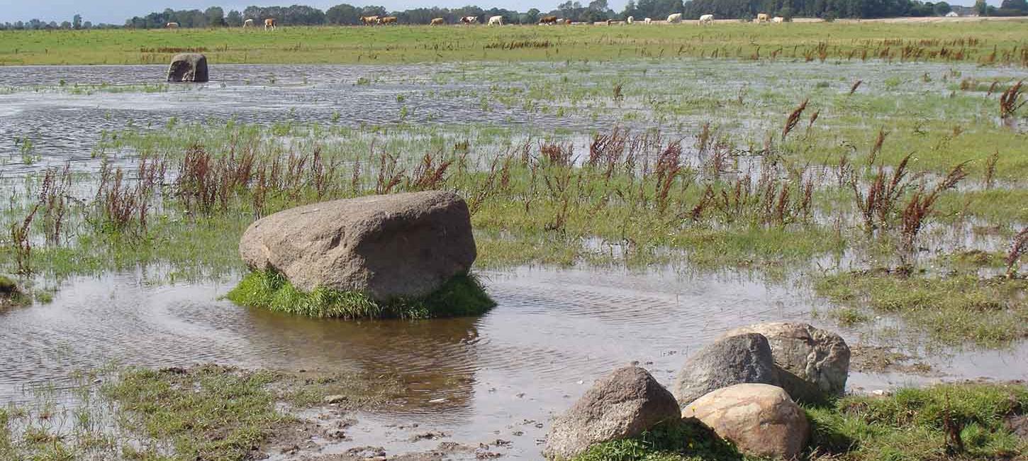 Odense Fjord - Ølund