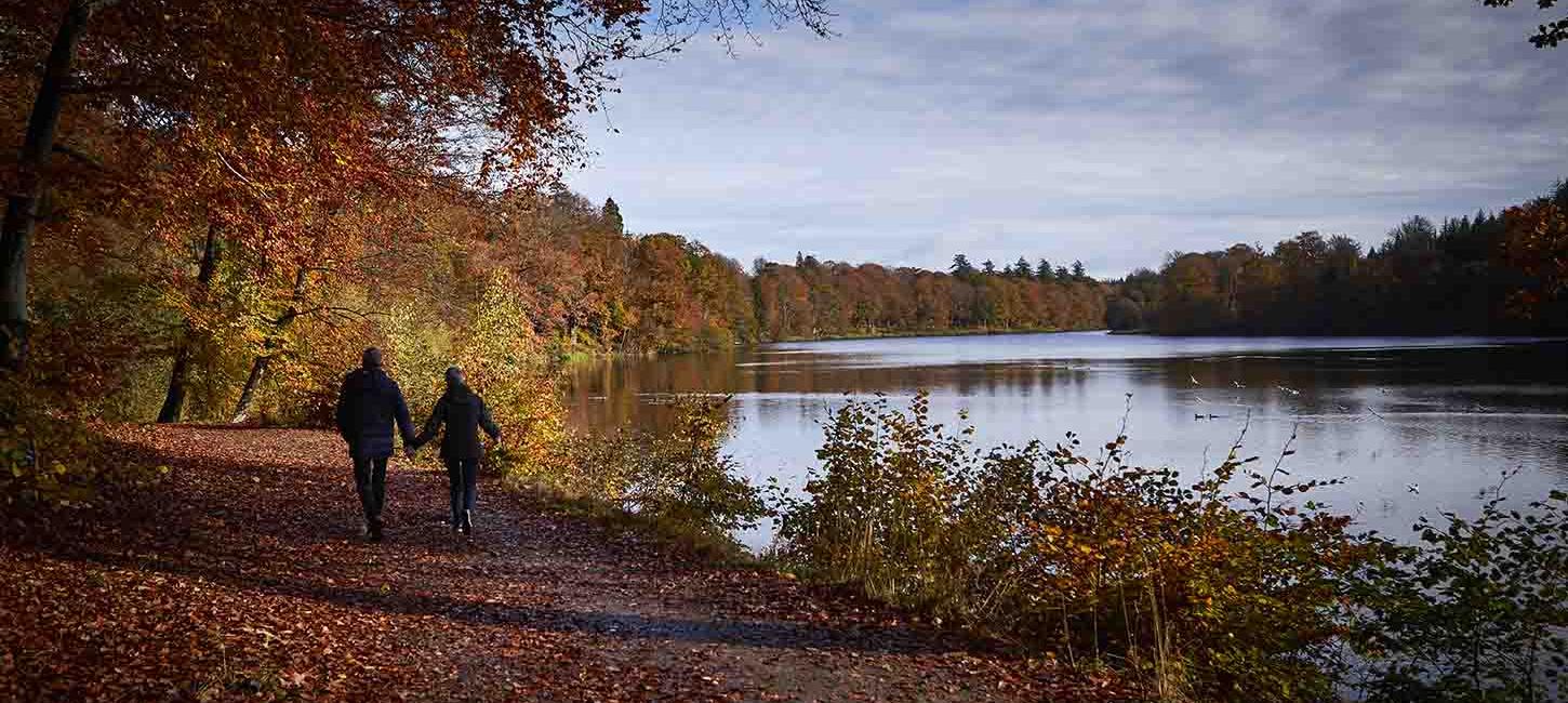Efterår og gåtur ved Langesø