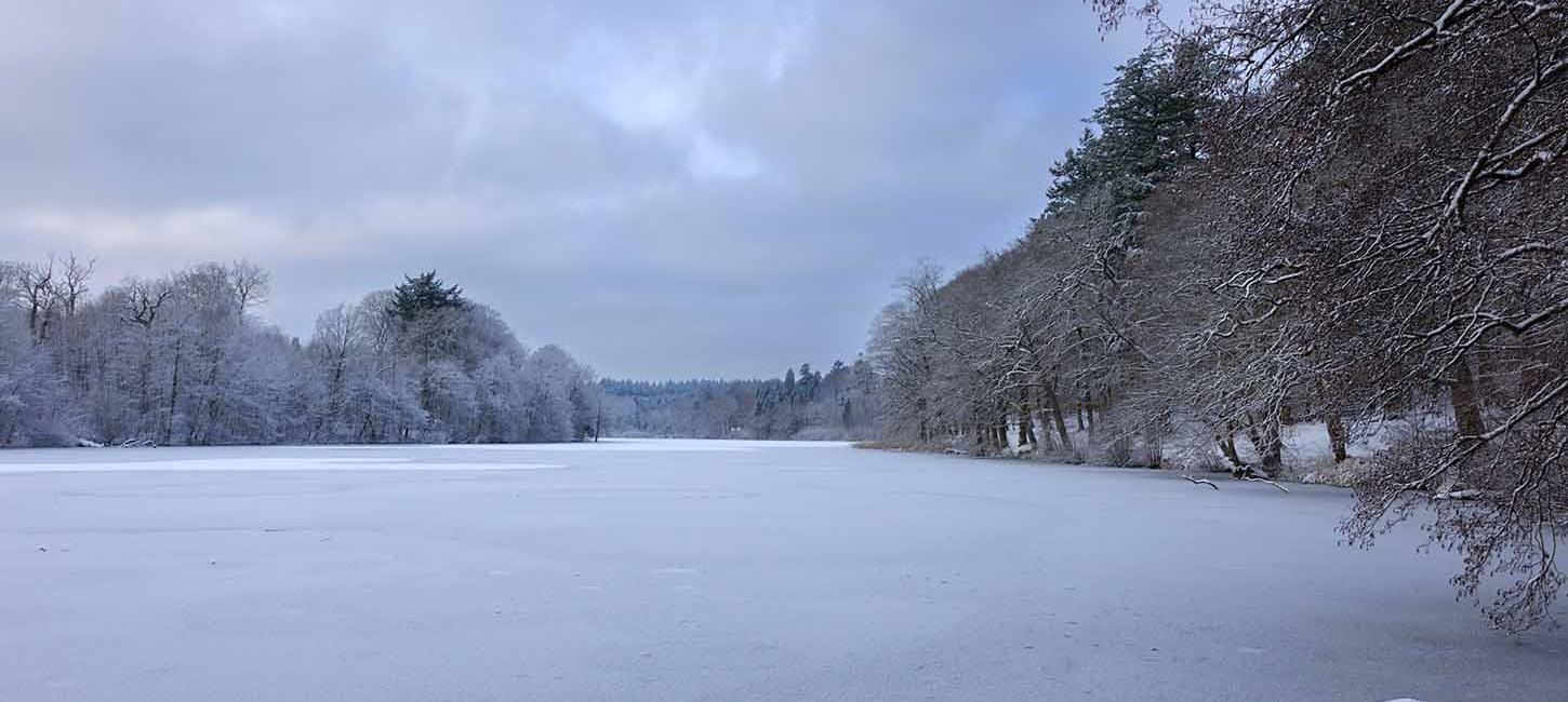 Langesø im Winter mit Schnee auf dem Weg und Bäumen und Eis auf dem See