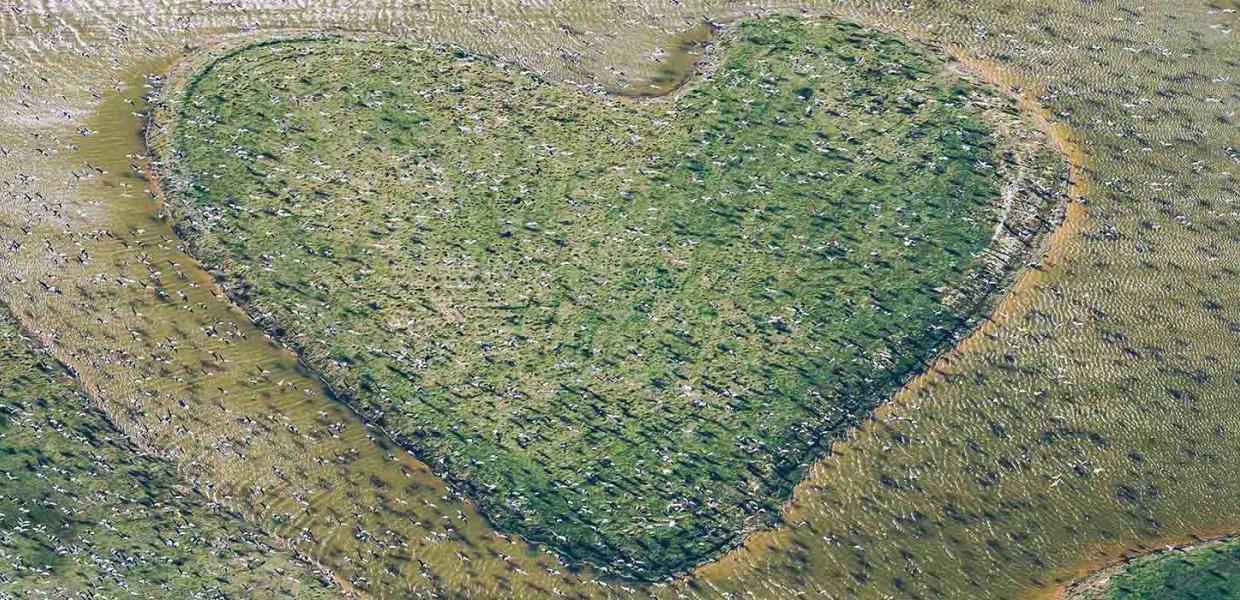 Luftfoto af Avnø til Luftkunst Danmark i Bogense