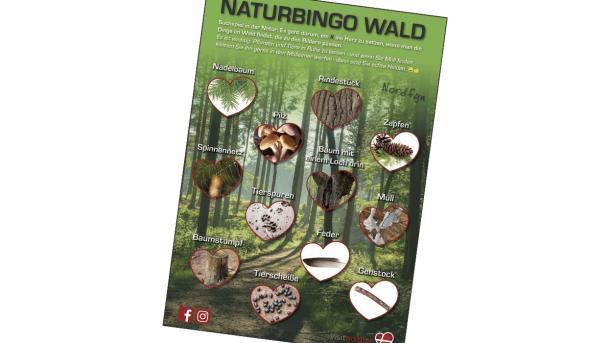 Naturbingo 2021 Deutsch