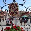 Rosenfestival i Bogense