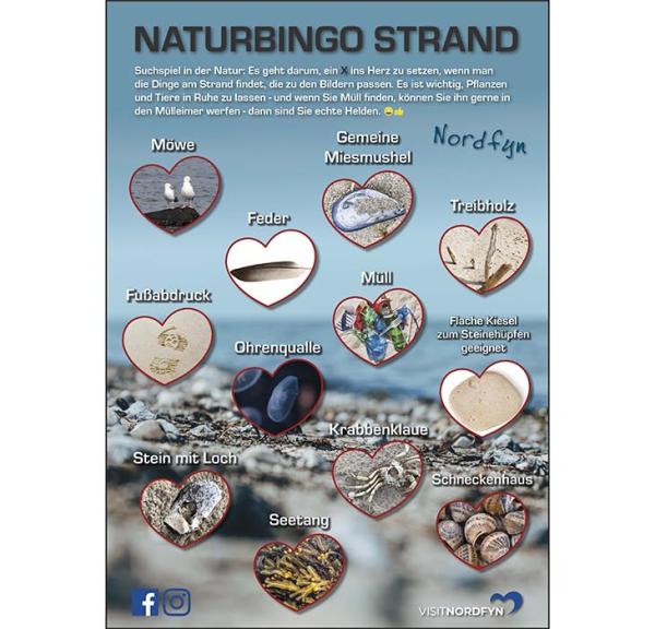 Naturbingo am Strand