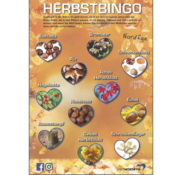 Herbstbingo - Suchspiel in der Natur im Herbst