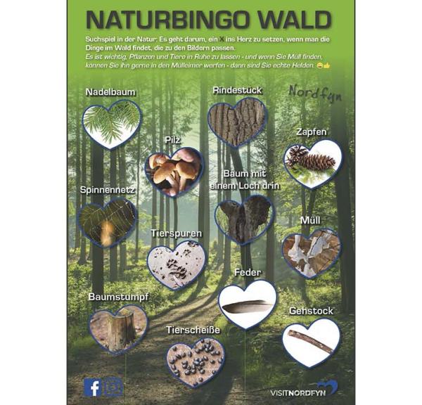 Waldbingo - Natursuchspiel im Wald