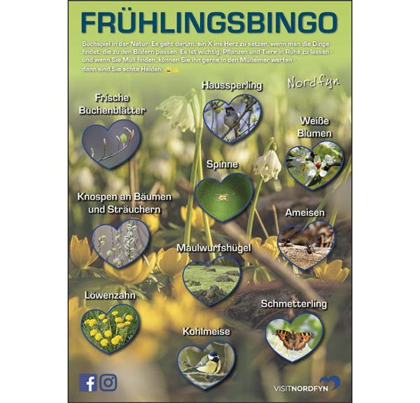 Naturbingo in der nordfünischen Natur im Frühling