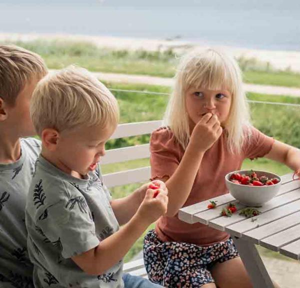 zwei kleine Jungen und ein kleines Mädchen essen Erdbeeren auf dem Balkon eines Ferienhauses