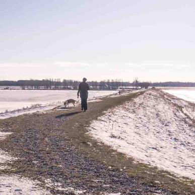 Vinter på Gyldensteen Strand på diget med hund og hundelufter