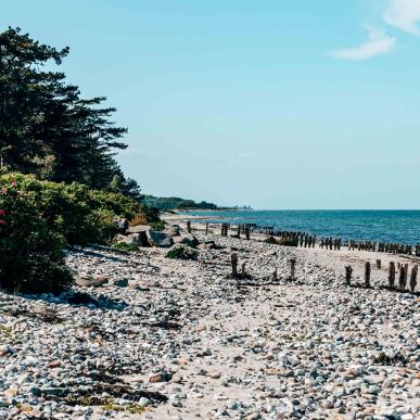 Enebærodde Strand Sommer Landzunge