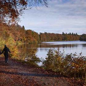 Efterår og gåtur ved Langesø