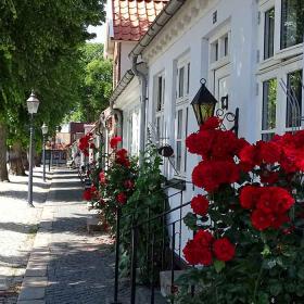 Torvet i Bogense med hyggelige gamle huse og flotte roser